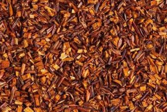 Rooibos