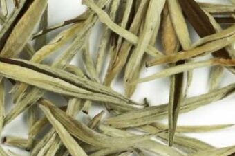 White Tea