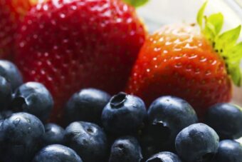Fruit Blend