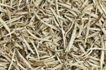 White Tea